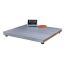 Ibex 3 Ton RVS Pallet- en Vloerweegschaal (3000kg x 0,5 kg)