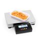 Gram Platformweegschaal met rvs weegplateau 60 kg x 10g